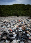 plastic harms environment