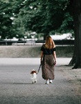 walking a great workout