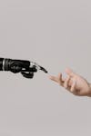 AI consciousness