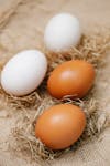 regular farm eggs